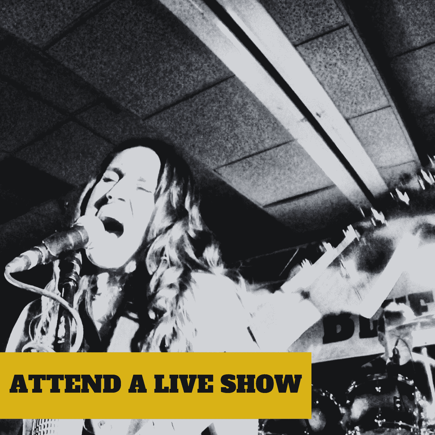 Attend a Live Jennifer Lyn & The Groove Revival Show